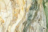 Polished, Gary Green (Larsonite) Petrified Wood - Oregon #180204-1
